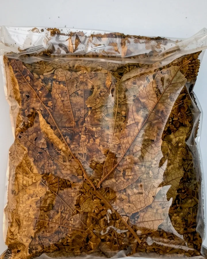 Fine-cut tobacco in a clear bag