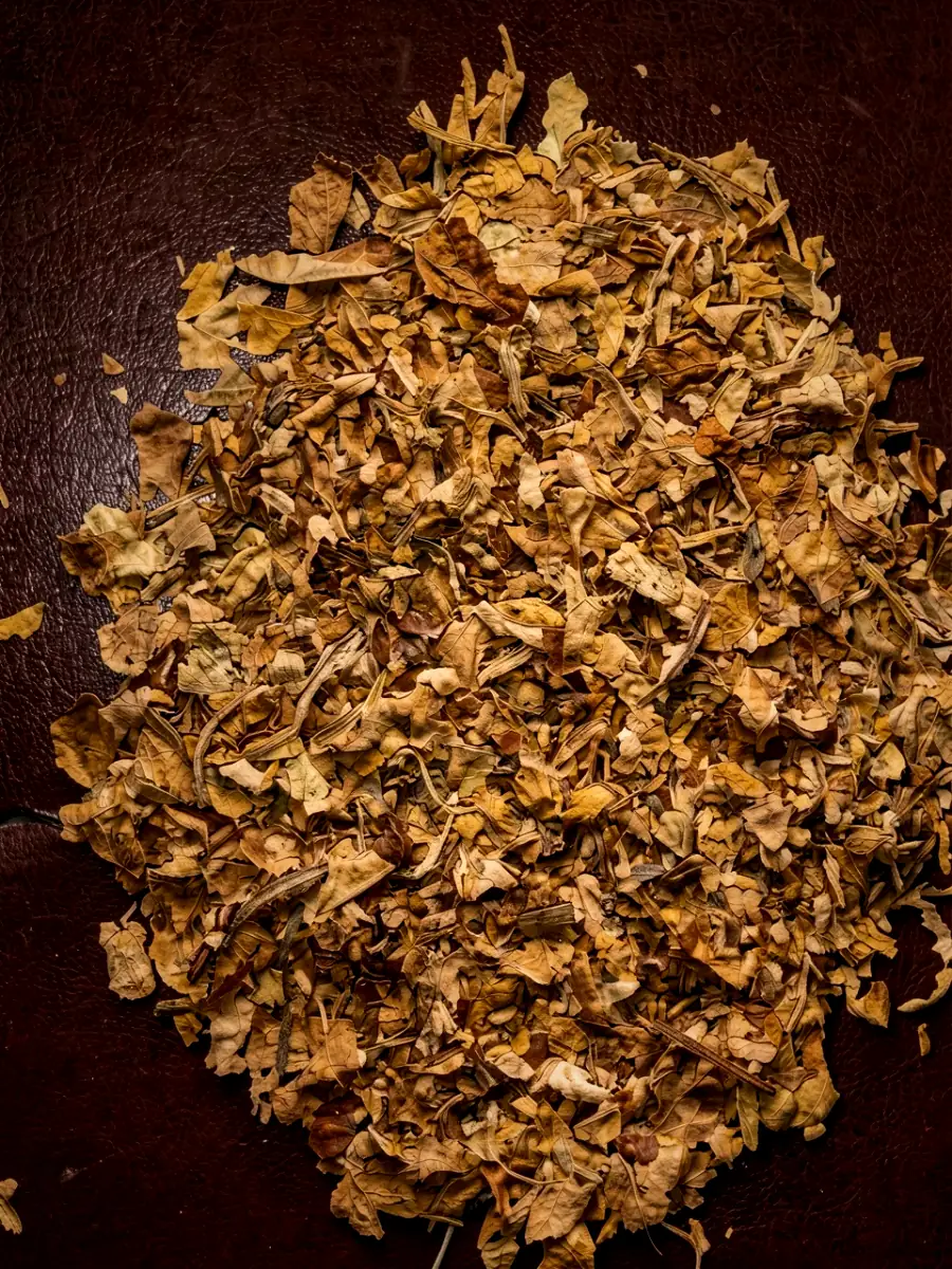 Cut golden shisha tobacco, photographed in a heap