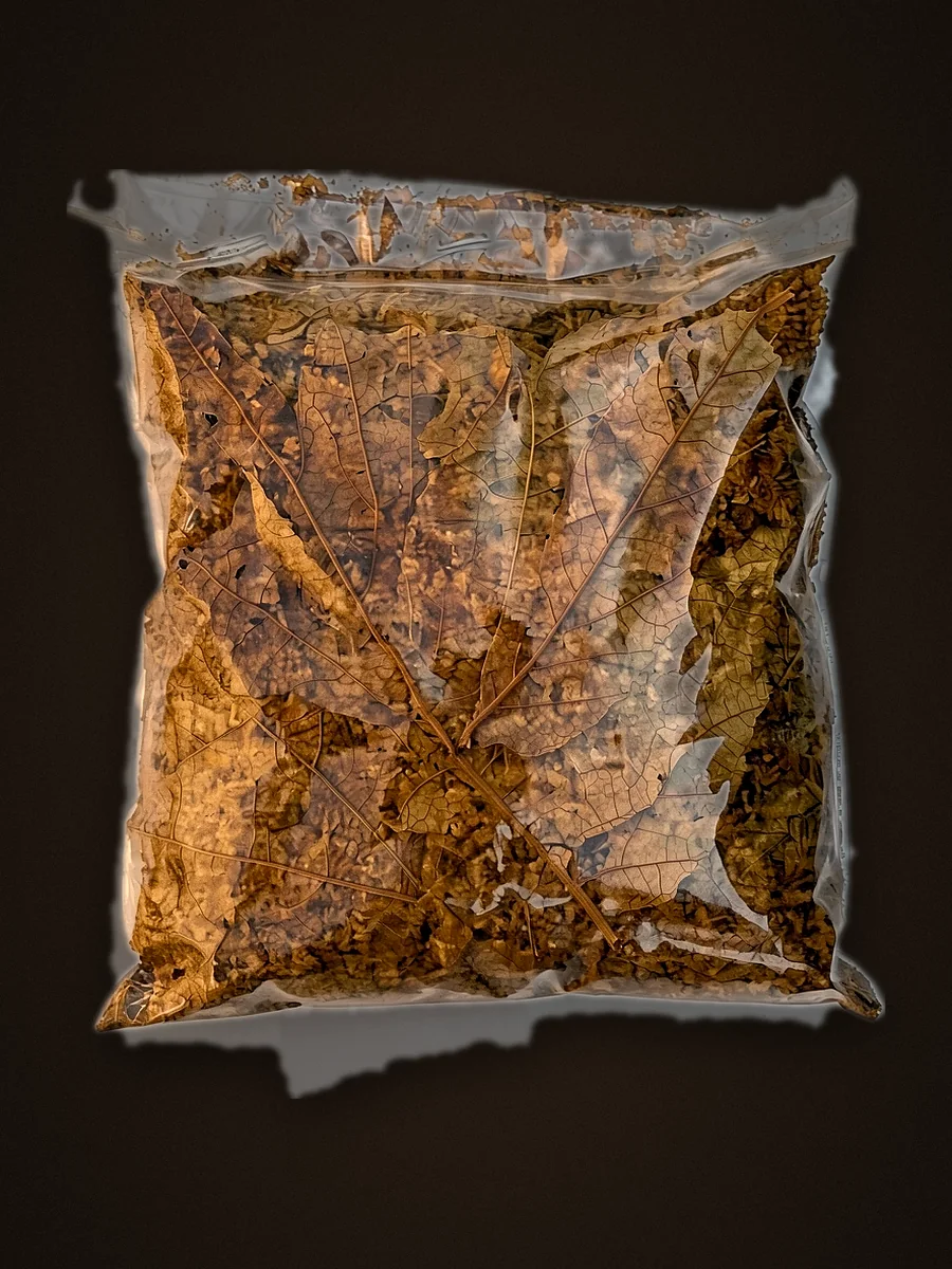 Clear bag of cut shisha tobacco
